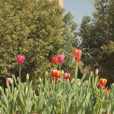 爱游戏ayx体育登录下载手机版