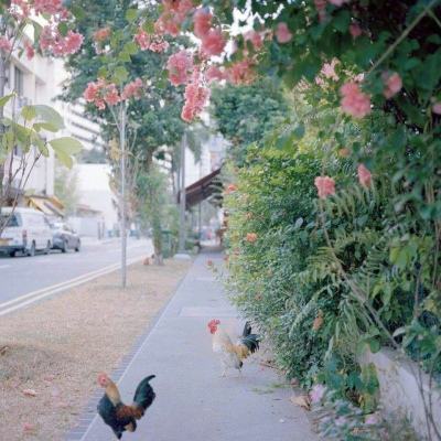 bte365真正的网站